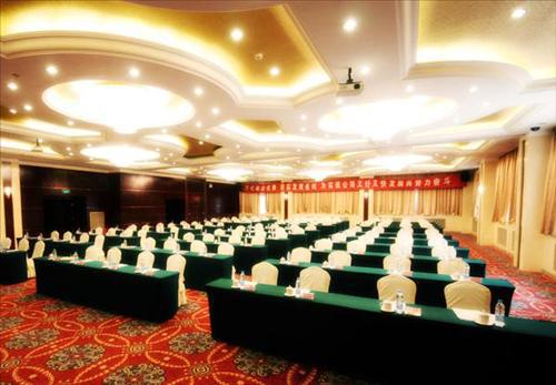 Teda Central Hotel Tianjin Faciliteter billede